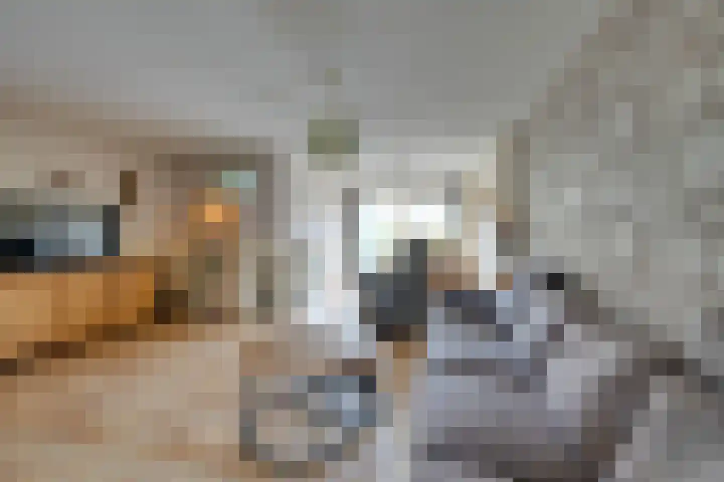 Dwingel 78 De Goorn thumbnail 11