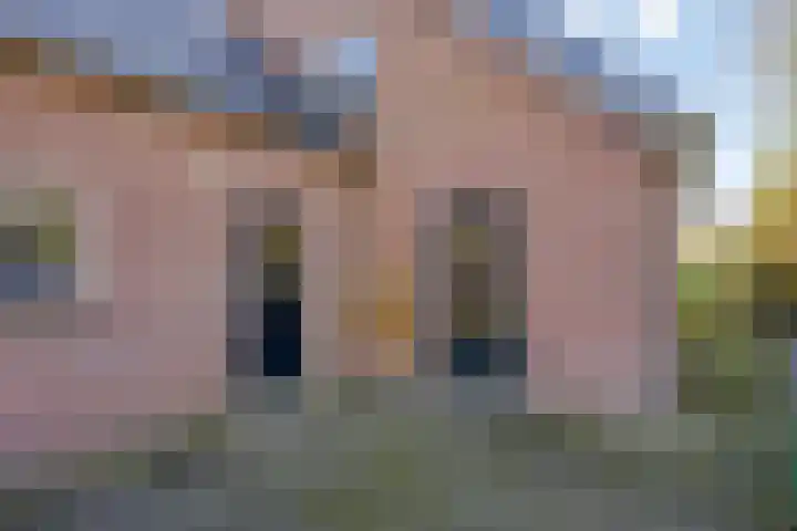 Dwingelderdijk 23 Dwingeloo thumbnail 33