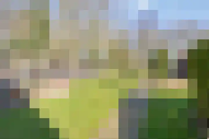 Dwingelderdijk 23 Dwingeloo thumbnail 38