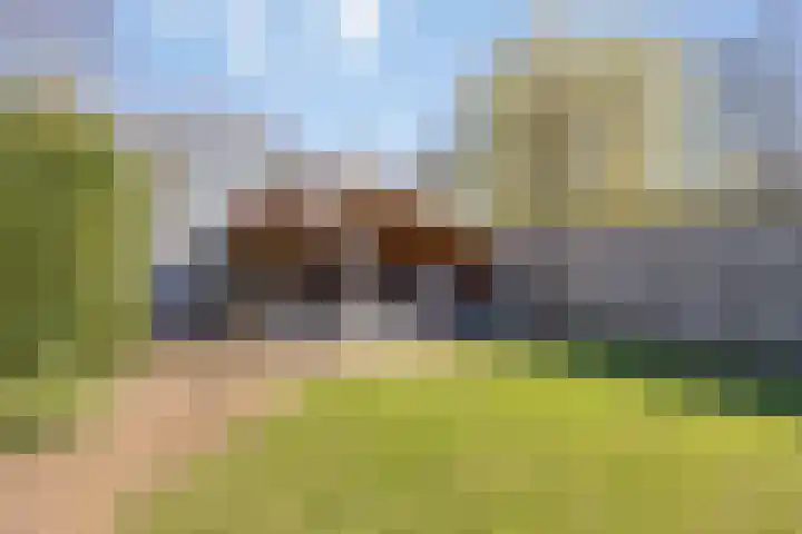 Dwingelderdijk 23 Dwingeloo thumbnail 40