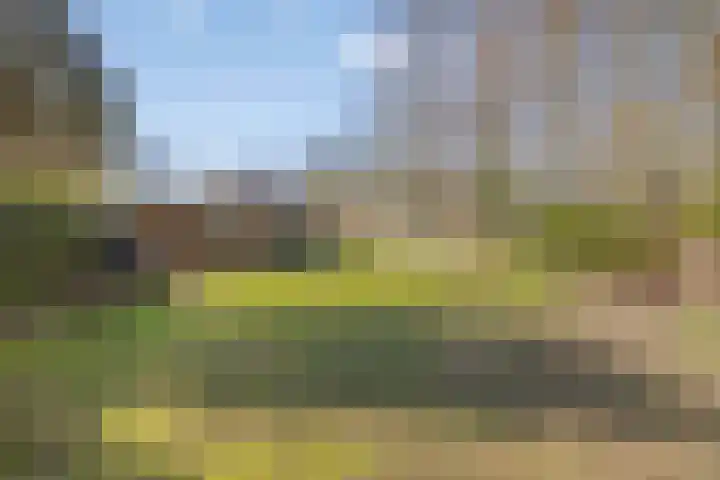 Dwingelderdijk 23 Dwingeloo thumbnail 44