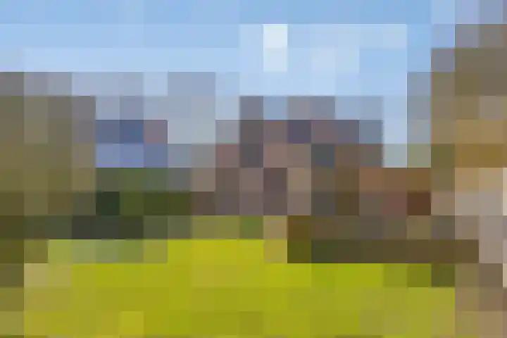 Dwingelderdijk 23 Dwingeloo thumbnail 45