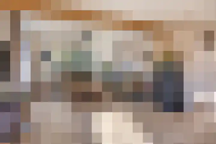 Dwingelderdijk 23 Dwingeloo thumbnail 6