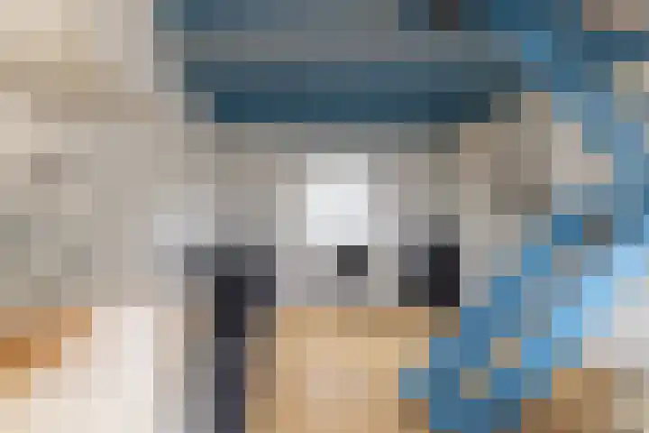 Dwinger 10 Stavoren thumbnail 12