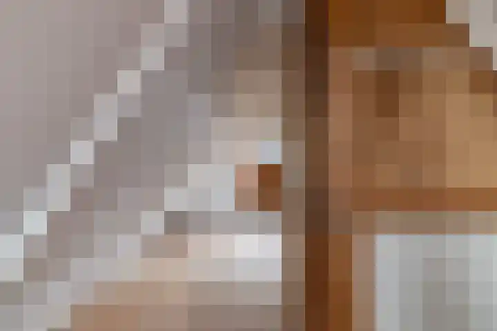 Dwinger 10 Stavoren thumbnail 17