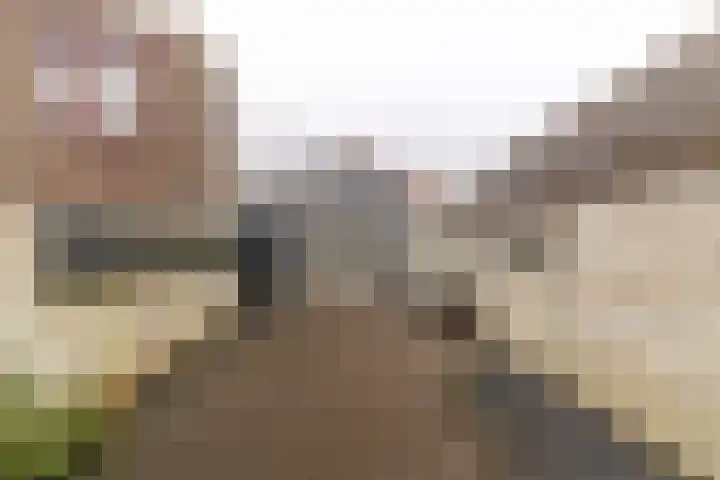 Dwinger 10 Stavoren thumbnail 19