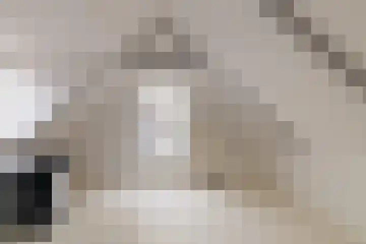 Dwinger 10 Stavoren thumbnail 23