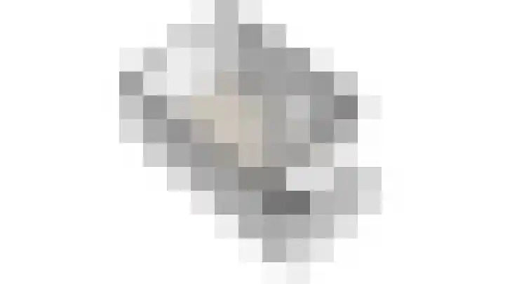 Dwinger 10 Stavoren thumbnail 33