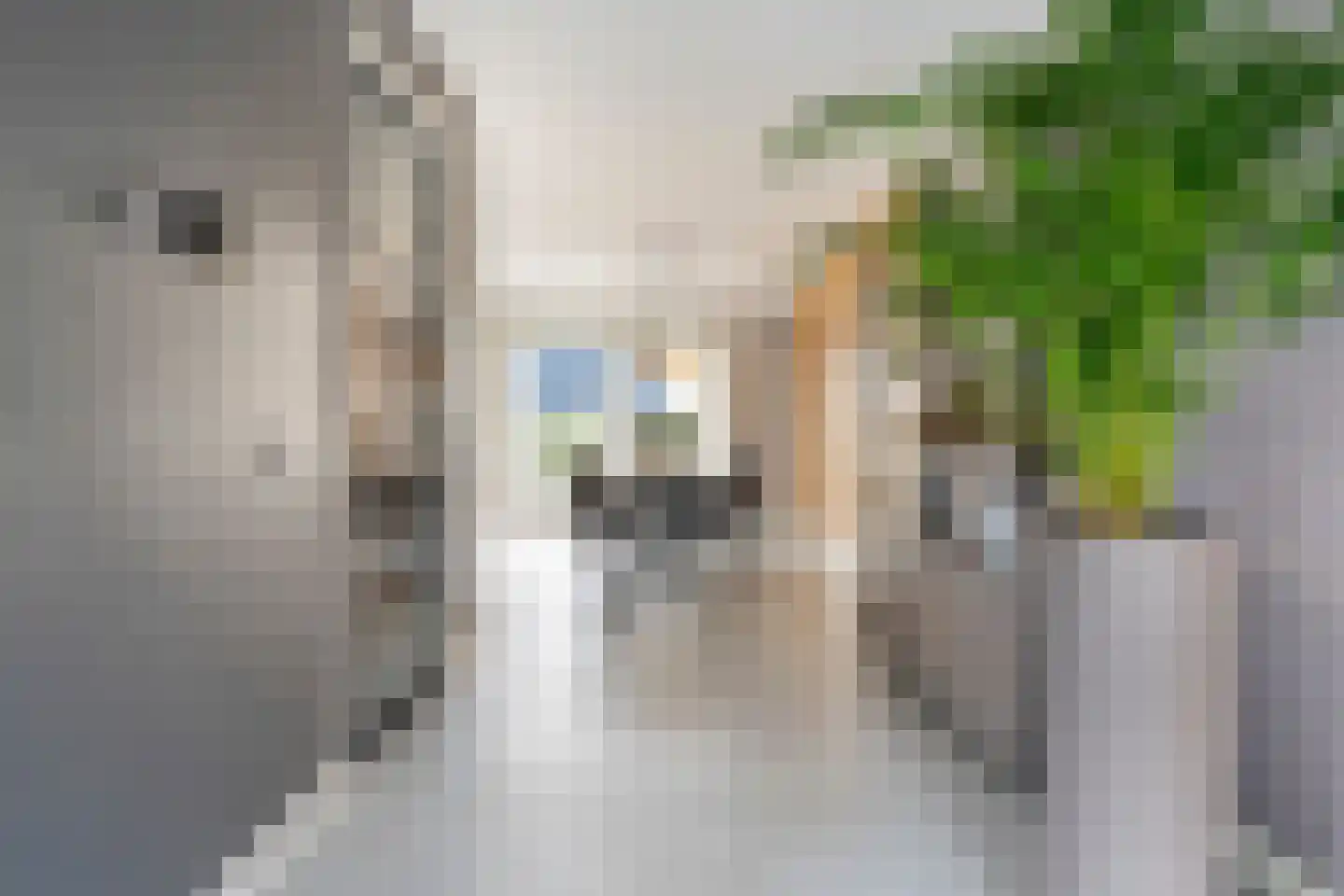 Dyksfeart 21 Franeker thumbnail 11