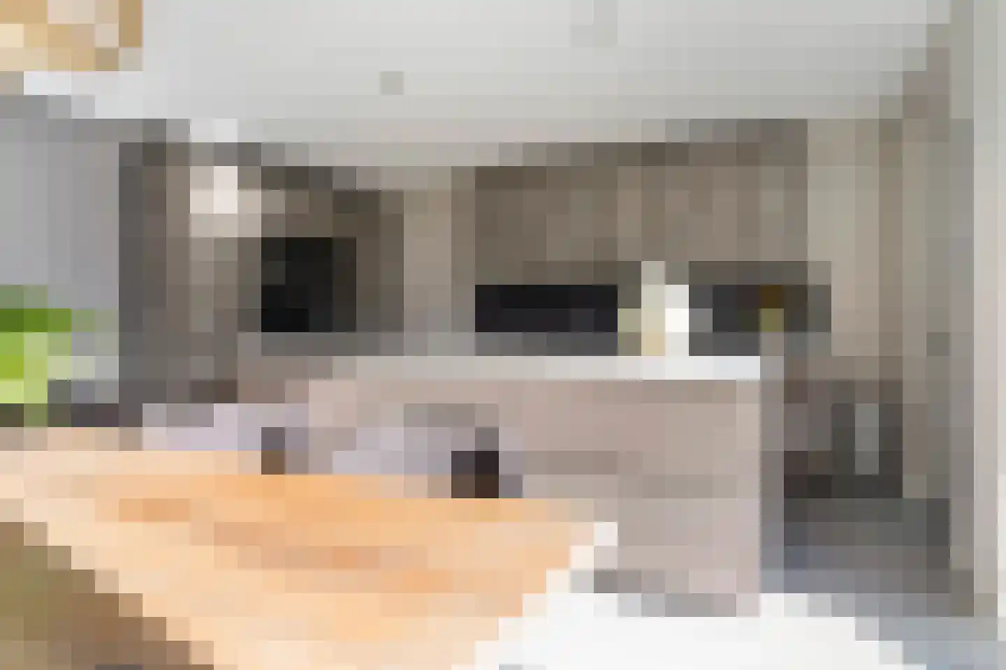 Dyksfeart 21 Franeker thumbnail 17