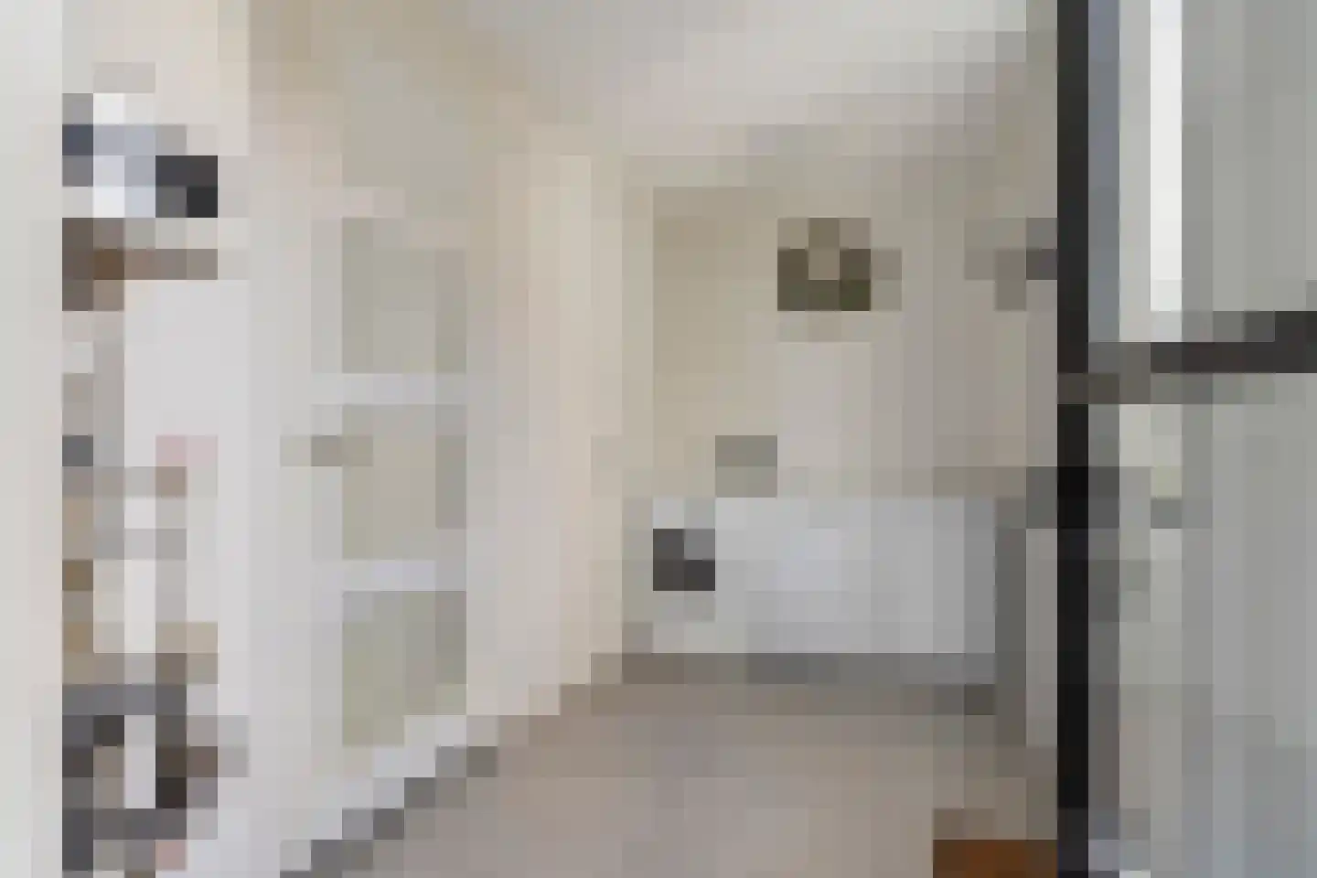 Dyksfeart 21 Franeker thumbnail 20