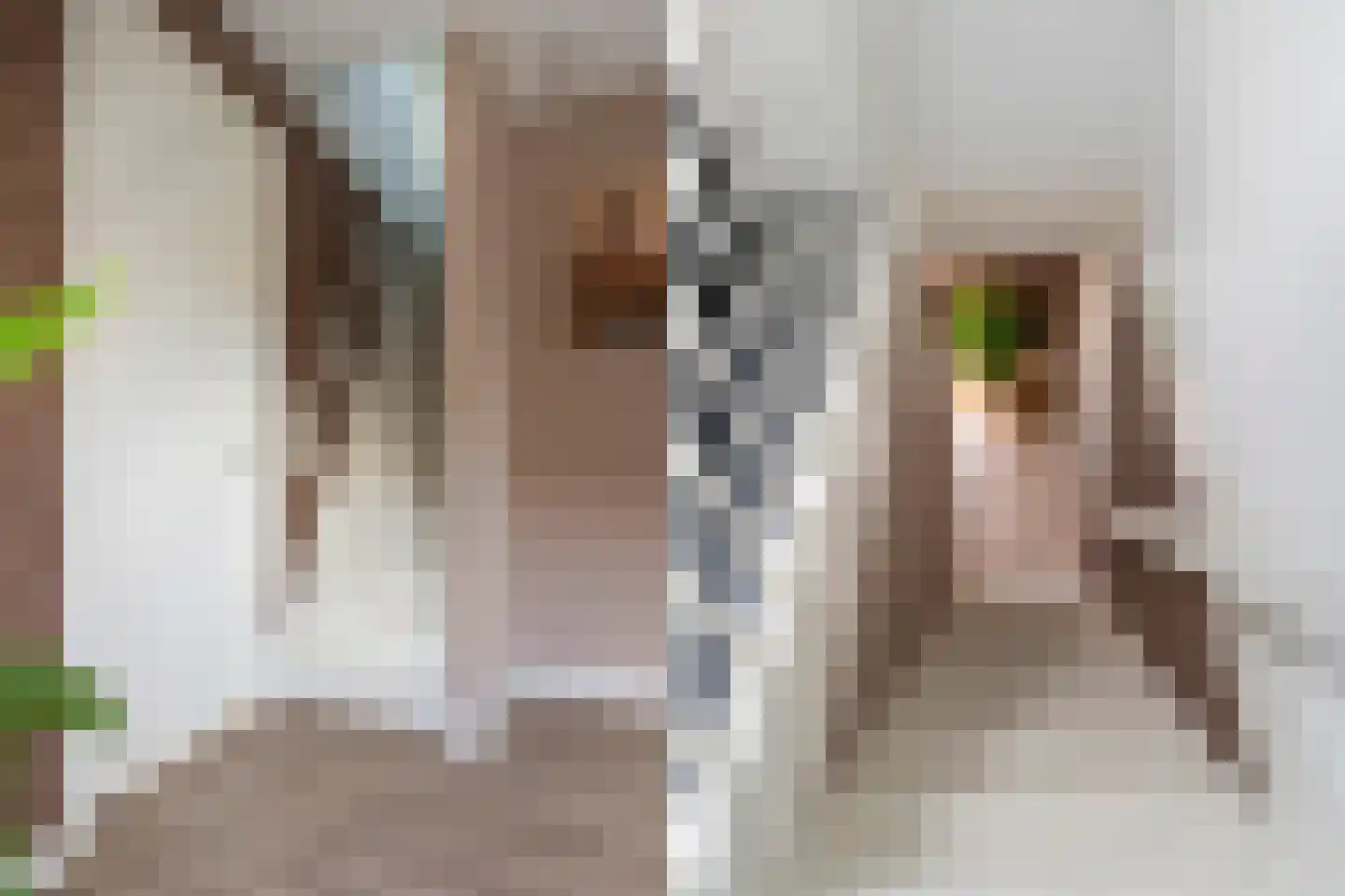 Dyksfeart 21 Franeker thumbnail 21