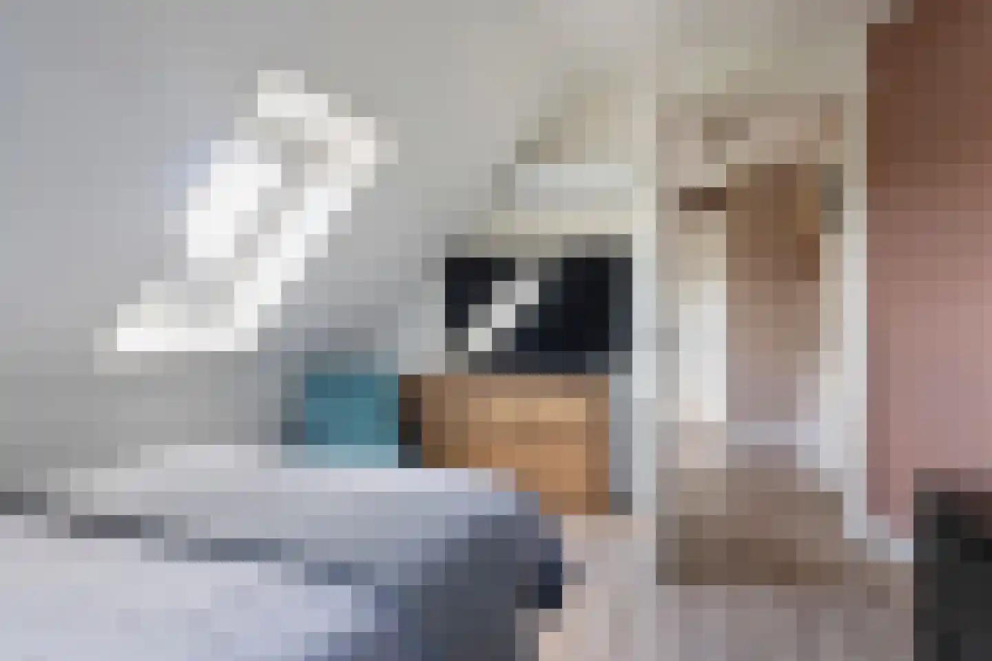 Dyksfeart 21 Franeker thumbnail 26