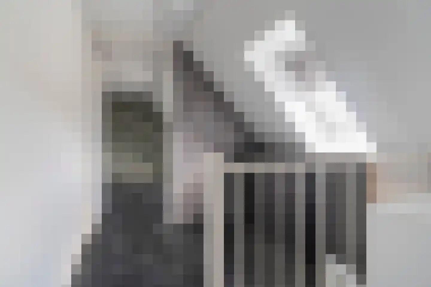 Dyksfeart 21 Franeker thumbnail 31
