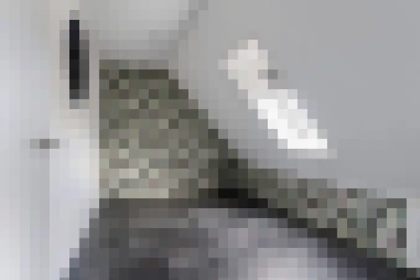 Dyksfeart 21 Franeker thumbnail 32