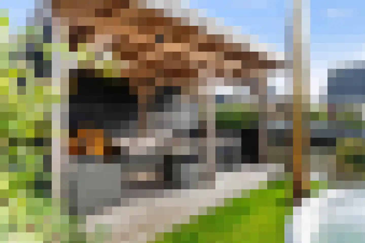 Dyksfeart 21 Franeker thumbnail 36