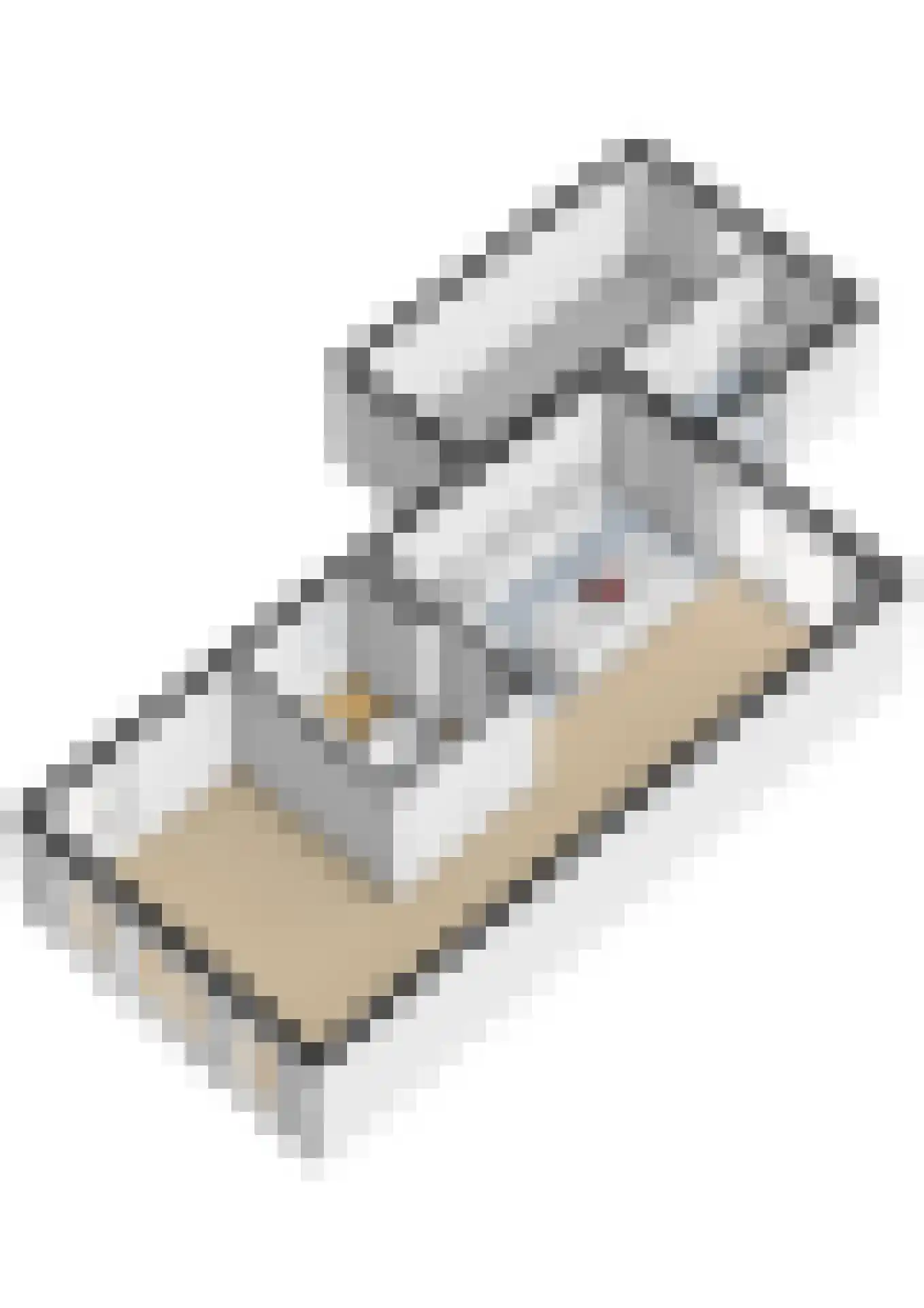 Dyksfeart 21 Franeker thumbnail 56