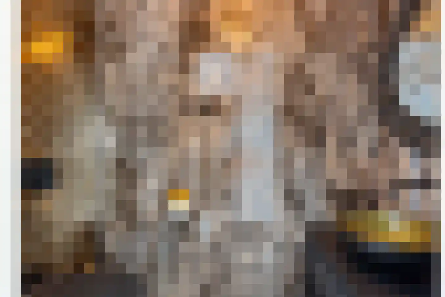 Dyksfeart 22 Franeker thumbnail 17