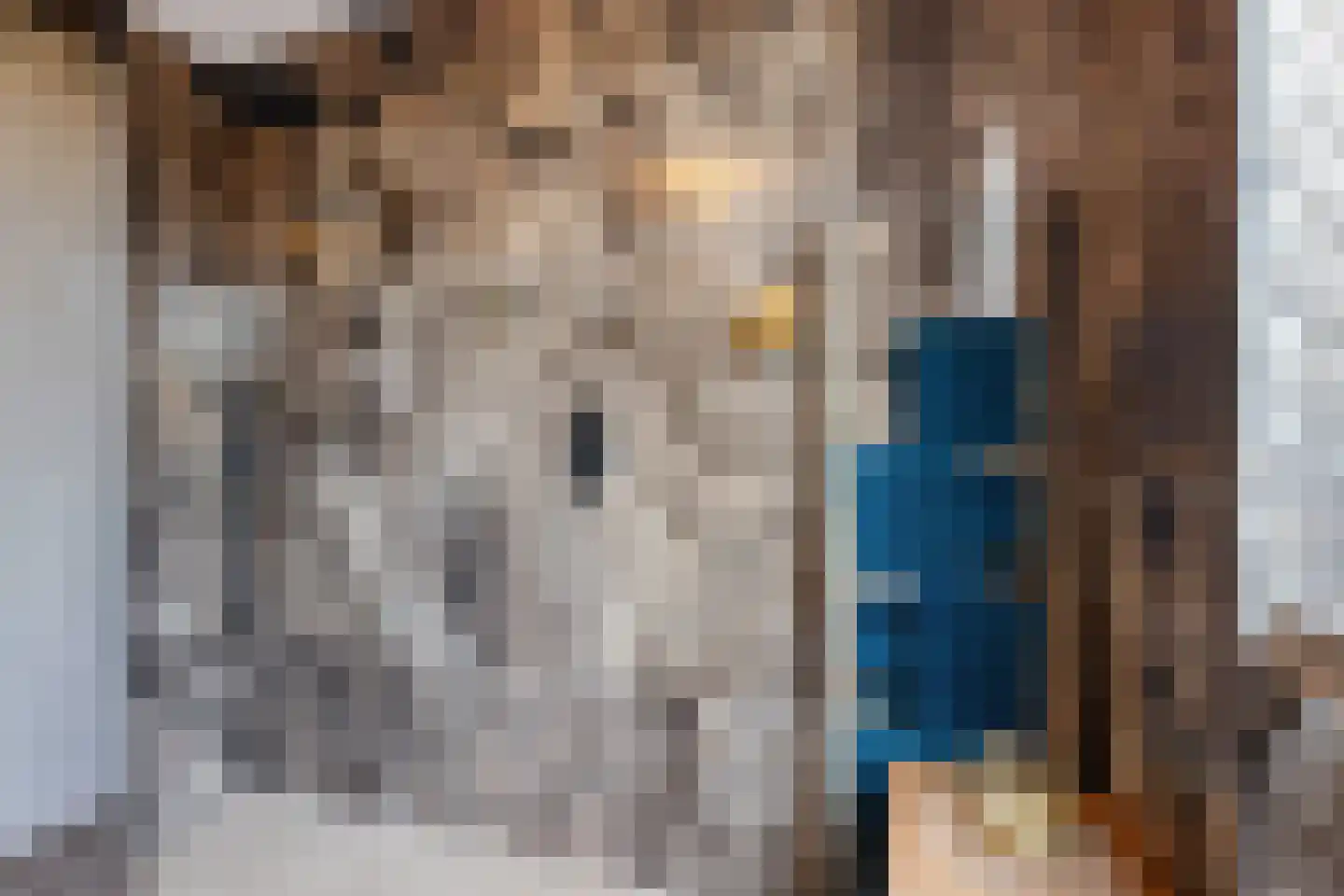 Dyksfeart 22 Franeker thumbnail 37