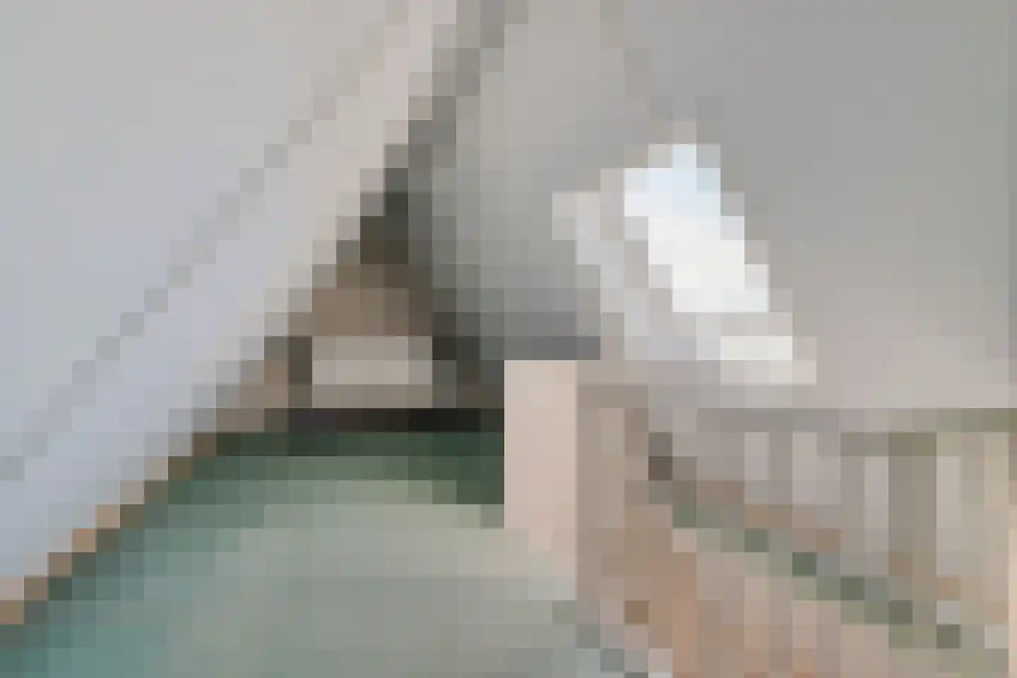Dyksfeart 22 Franeker thumbnail 42
