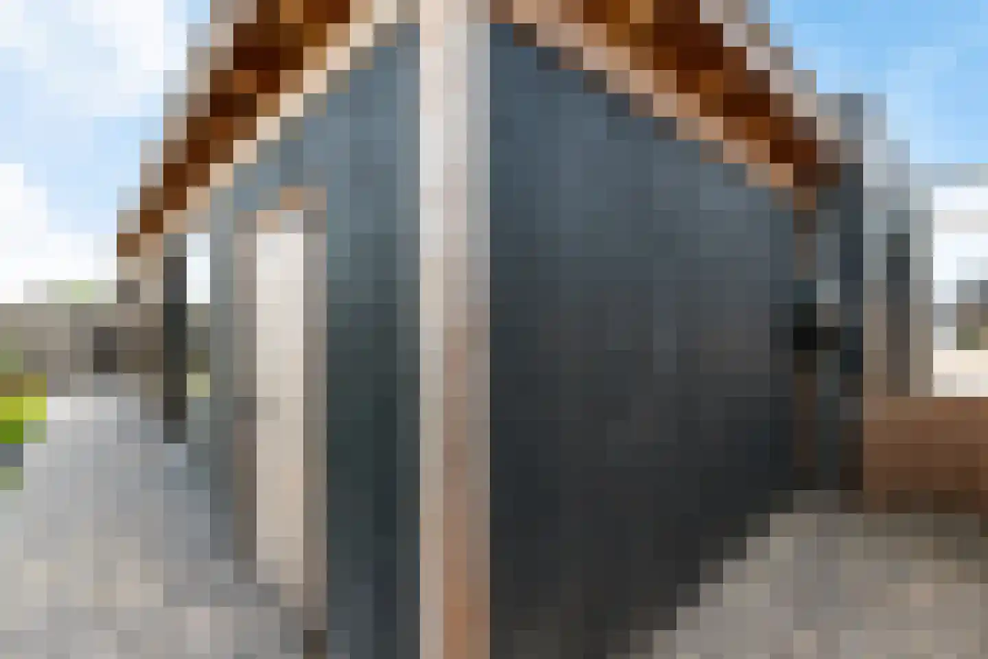 Dyksfeart 22 Franeker thumbnail 54