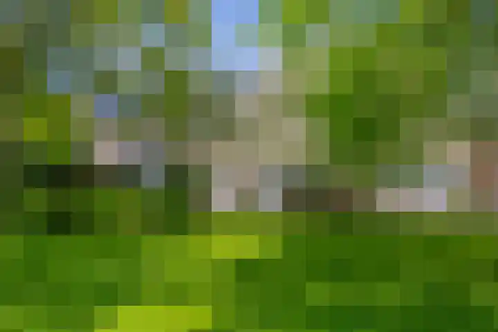E. Doetshof 17 Purmerend thumbnail 40