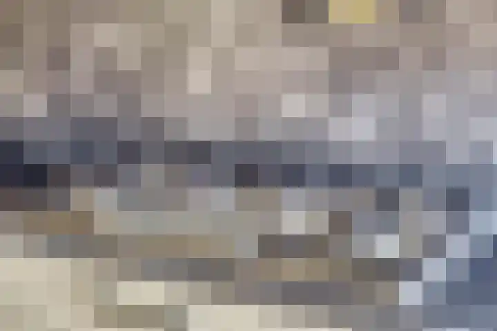 E. Doetshof 17 Purmerend thumbnail 9