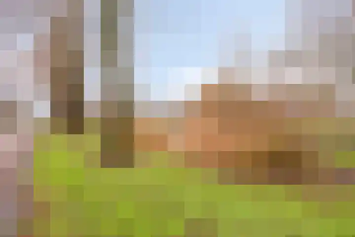 E. du Perronstraat 34 Almere thumbnail 38