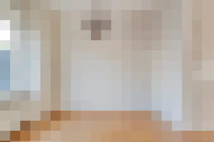 E E G laan 25 Coevorden thumbnail 13