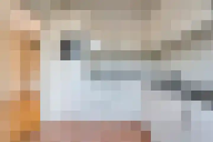 E E G laan 25 Coevorden thumbnail 17