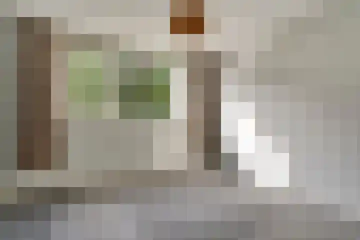 E E G laan 25 Coevorden thumbnail 23
