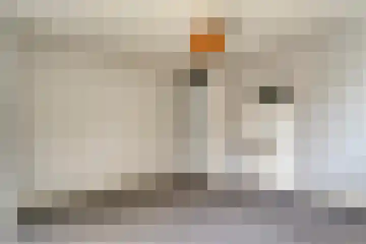 E E G laan 25 Coevorden thumbnail 25