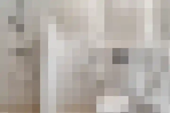 E E G laan 25 Coevorden thumbnail 27