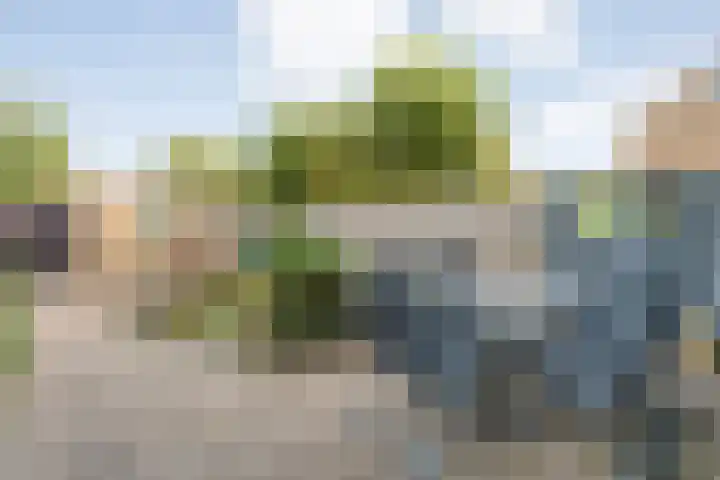 E E G laan 25 Coevorden thumbnail 35