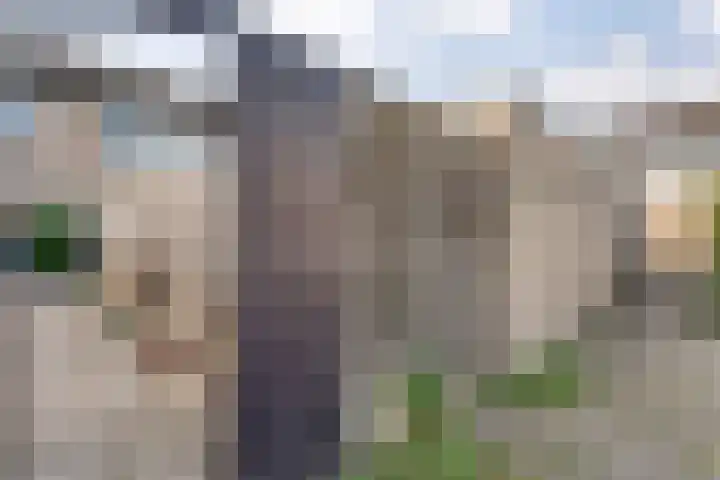 E E G laan 25 Coevorden thumbnail 42