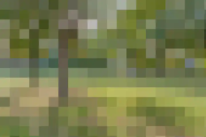 E E G laan 25 Coevorden thumbnail 43
