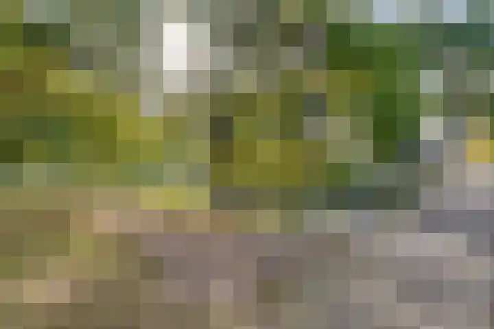 E E G laan 25 Coevorden thumbnail 44