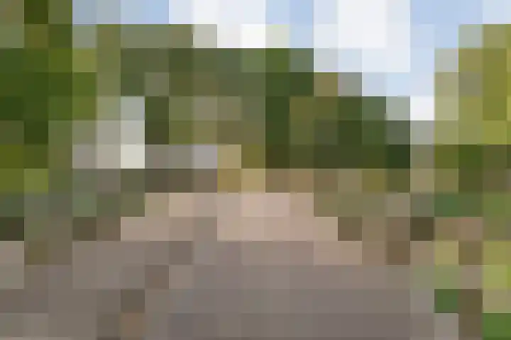 E E G laan 25 Coevorden thumbnail 45