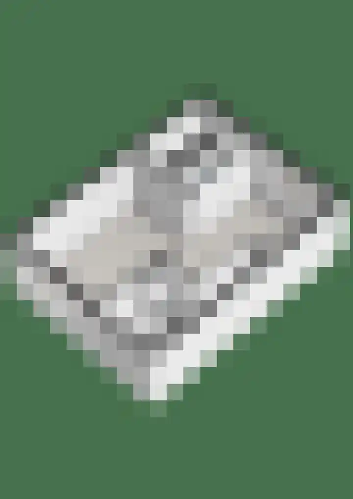 E E G laan 25 Coevorden thumbnail 49