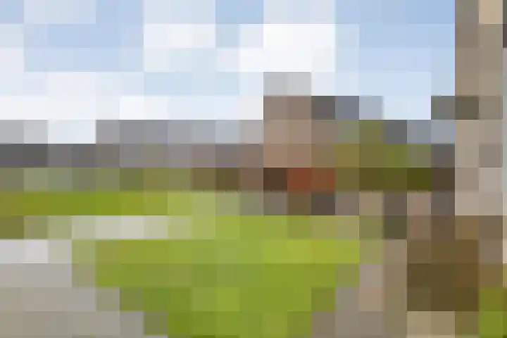 E E G laan 84 Coevorden thumbnail 7