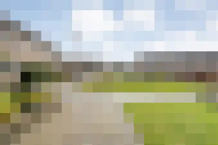 E E G laan 84 Coevorden thumbnail 8