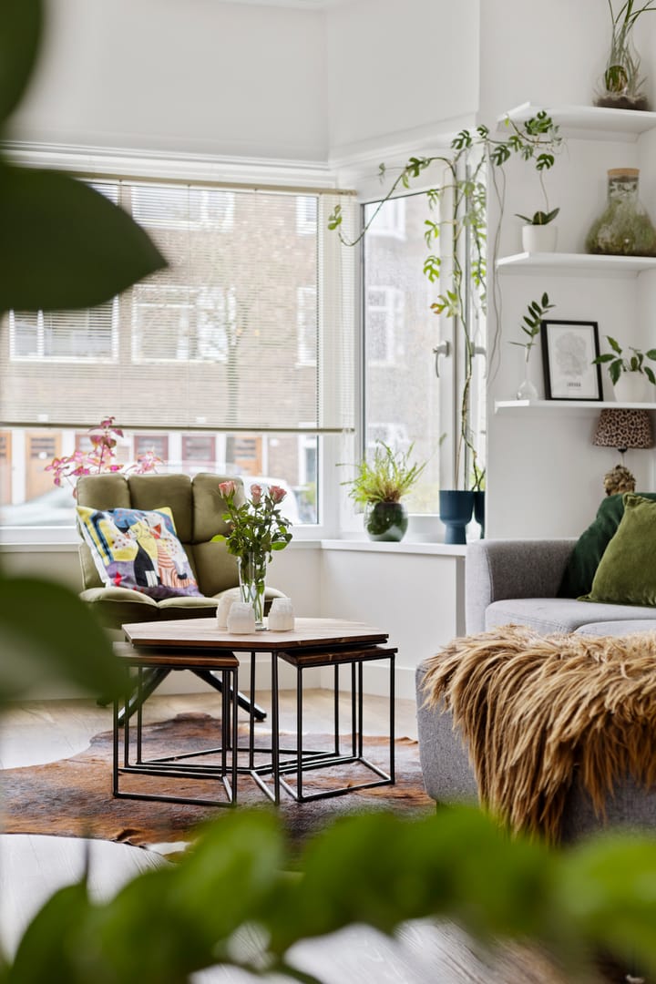 E. Thomassen à Thuessinklaan 50 in Groningen foto