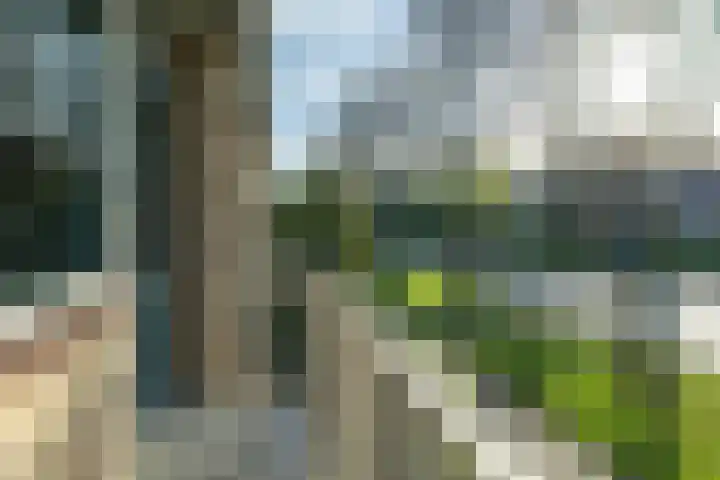 Easter Omwei 29 Hurdegaryp thumbnail 28