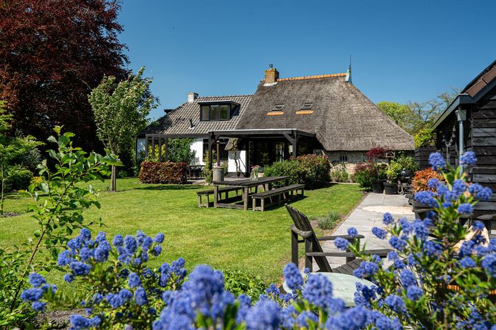 Easterbuorren 104 in Boornbergum foto