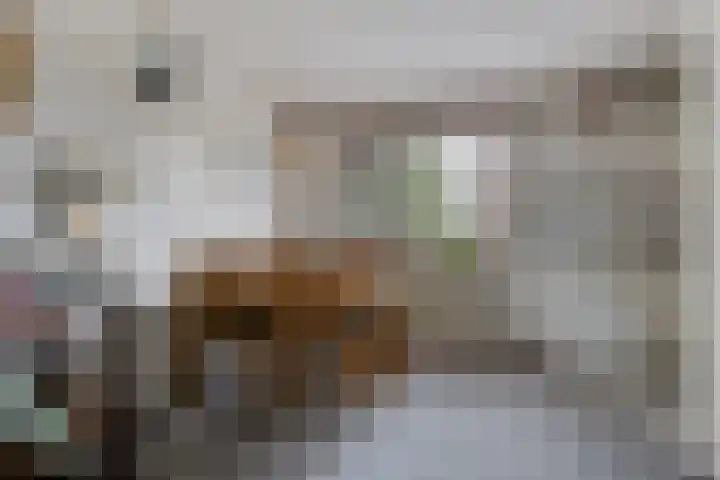 Easthimmerwei 20 Folsgare thumbnail 12