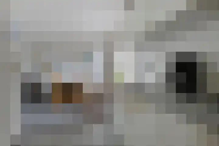 Easthimmerwei 20 Folsgare thumbnail 15