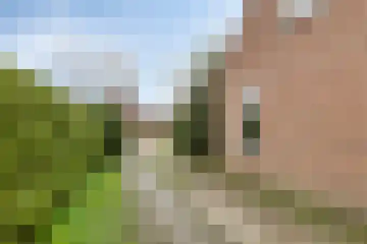Easthimmerwei 20 Folsgare thumbnail 29