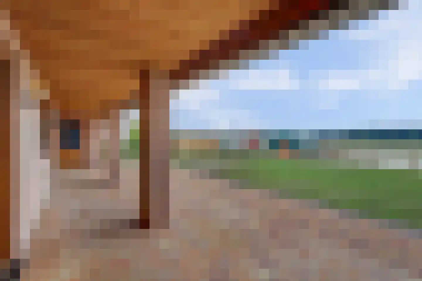 Ebberstraat 40 Velden thumbnail 33