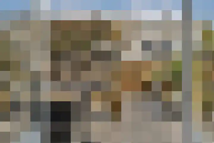 Ebro 138 Uithoorn thumbnail 17