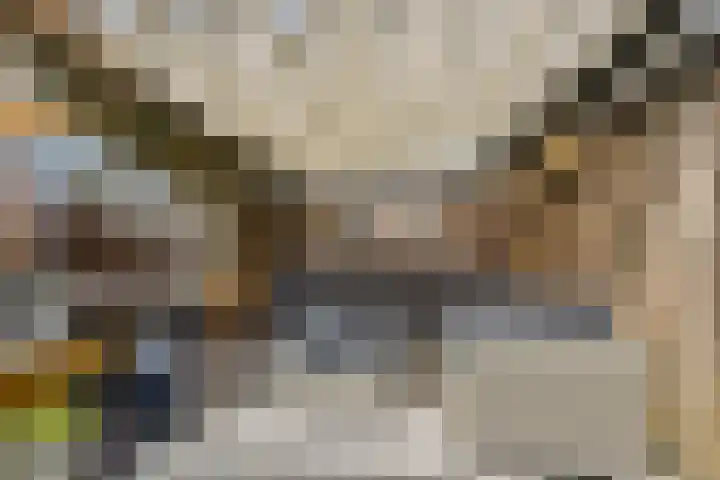 Ebro 138 Uithoorn thumbnail 19